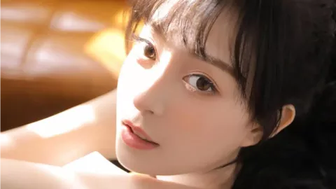 关税与双边贸易症结