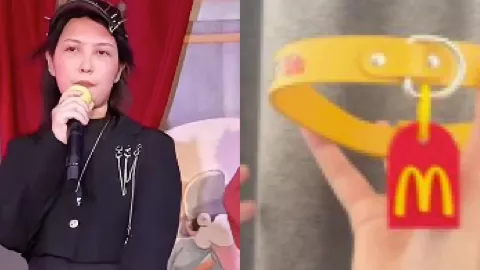 契约兽女孩王婆说媒事件