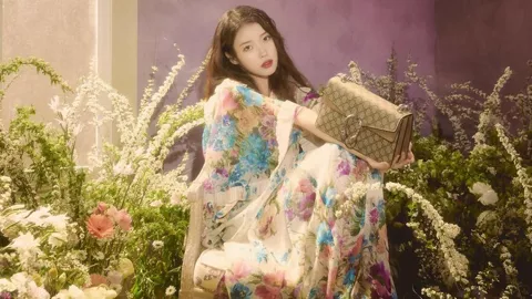 甘肃黑熊伤人进展