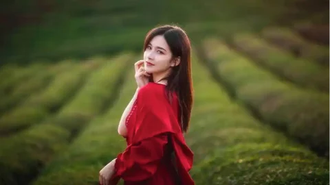 王飞伦敦车祸去世事件