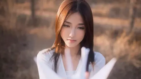 养光伏羊