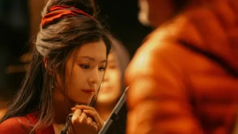企业给罗汉松防台风