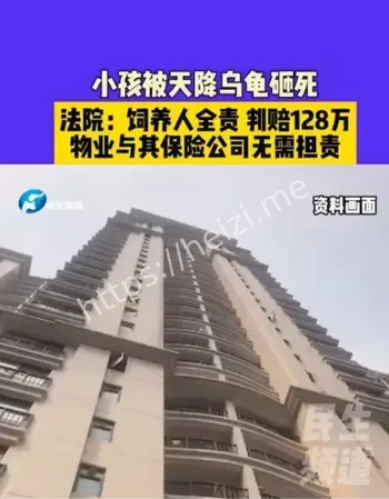 乌龟坠楼