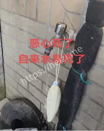 良渚自来水