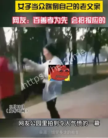 网友热议