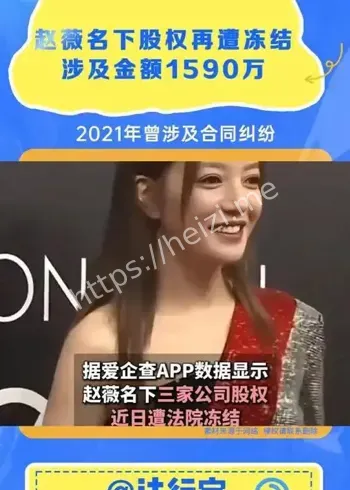 赵薇股权冻结