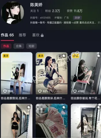 陈美矫7V1