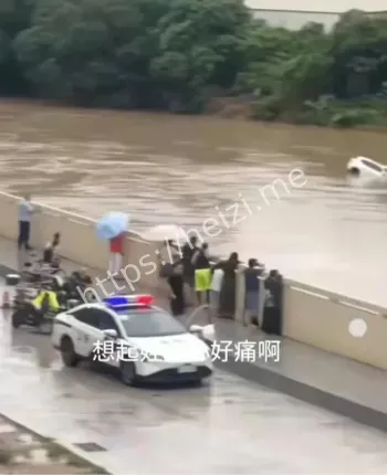 女司机驾车坠河