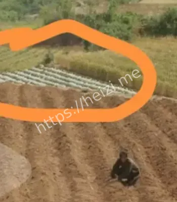 生万物穿帮镜头