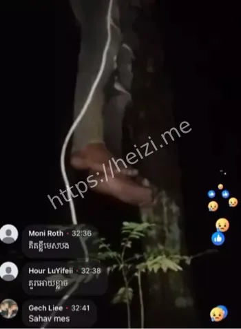 回放记录全过程