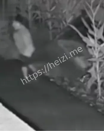 乡村小路上三轮车后激战