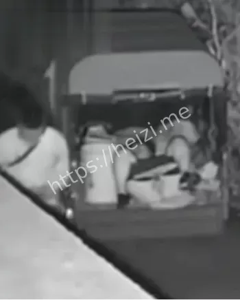 东北苞米地三轮车上激战监控