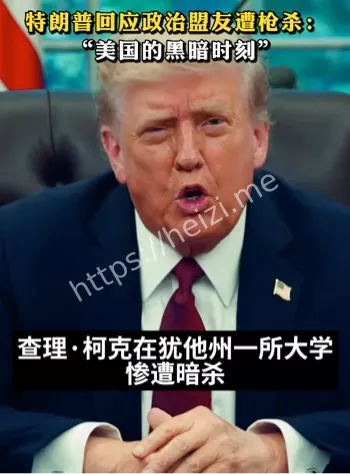 特朗普盟友遭枪击现场视频