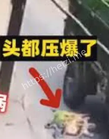 警方通报与应急救援