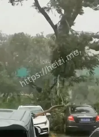 东莞龙卷风警报