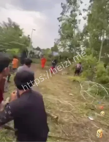 停火执行与地雷指控