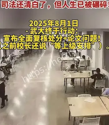 杨景媛上诉被驳回