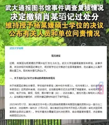 学术不端上诉败北