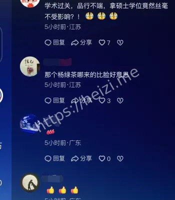 学术不端上诉败北