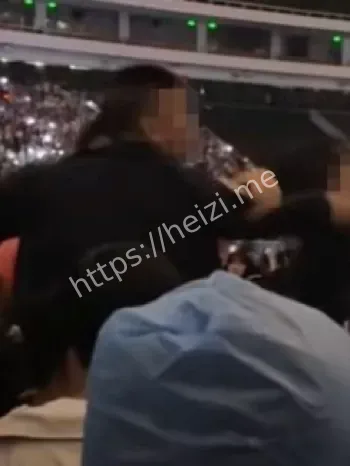 演唱会安保问题