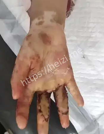 山东法院判决结果