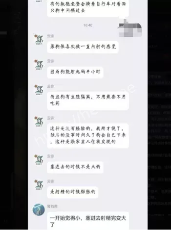 狗狗卡住急送医院