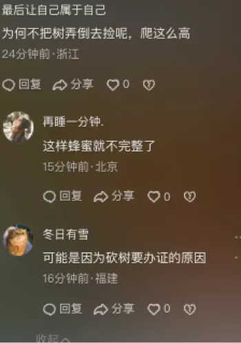 树上高处作业风险