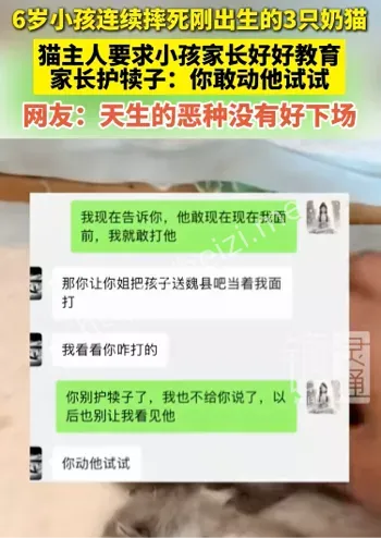 室内装修良浩小孩摔猫