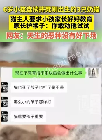 奶猫死亡真相曝光