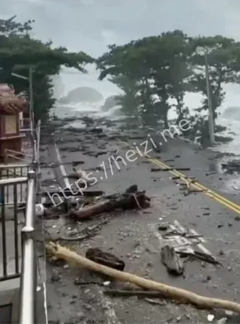 桦加沙实时路径与强度