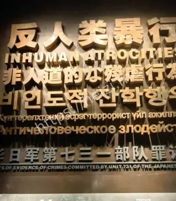 731史料推动申遗却被卡6年
