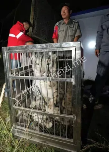 无人机热成像搜寻