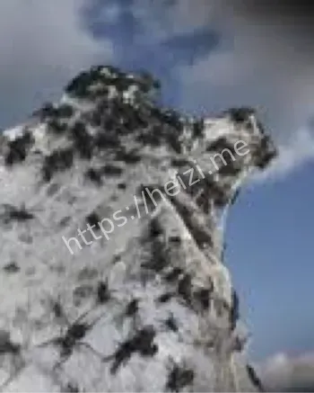 科幻灾难片视觉冲击