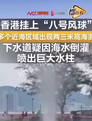 台风风暴潮倒灌机理