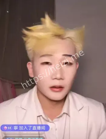 模仿艺人法律边界