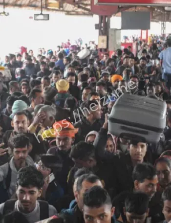 踩踏事件受害者家庭故事