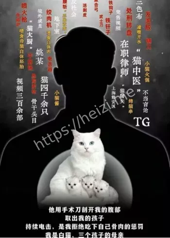 血腥视频境外牟利