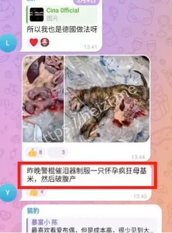 血腥视频境外牟利