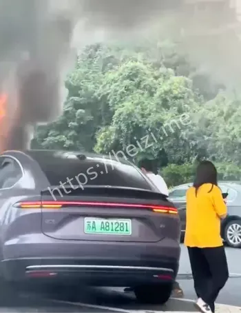 新能源起火车祸