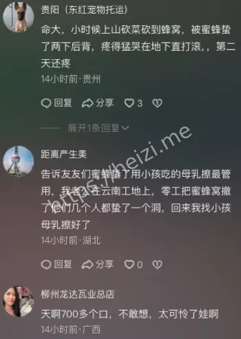 7岁哥哥2岁妹妹死亡