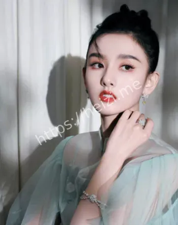 娱乐圈税务问题