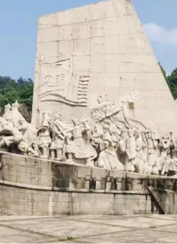 宝船楠木松木用材