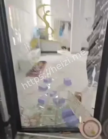 野猪被击毙事件