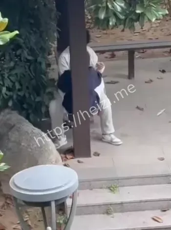 校园恋爱安全警示分析