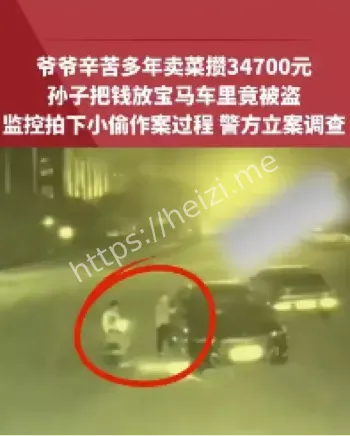 老人卖菜攒钱被盗