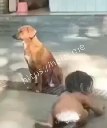 小猿泰山男童自然教养