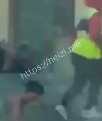 雅西高速服务区野人孩子