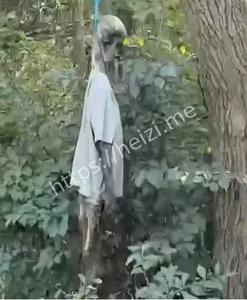 警方法医鉴定与排除他杀要点