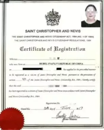 庞氏骗局监管漏洞剖析