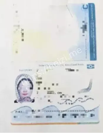 金融非法集资维权展望